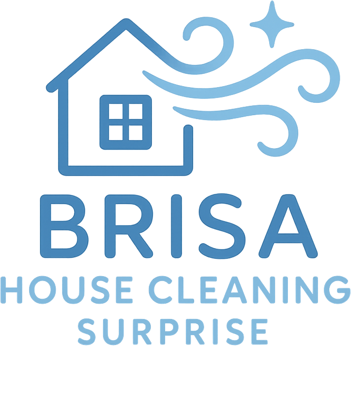 House Cleaning Brisa Surprise